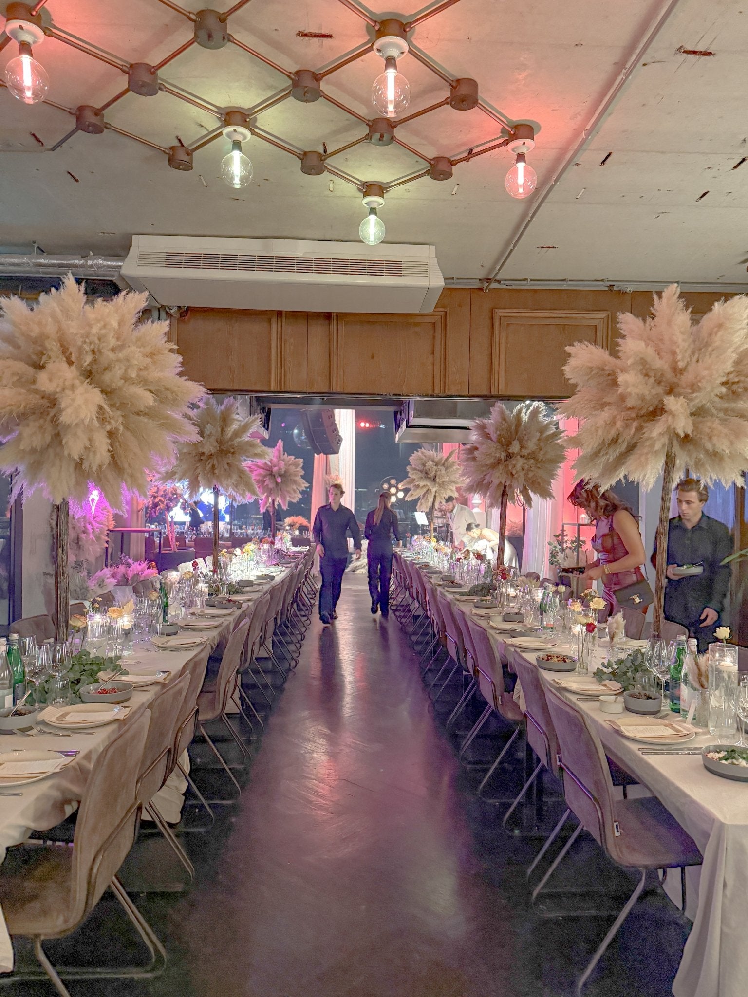 CENTERTREE - PAMPASKONING