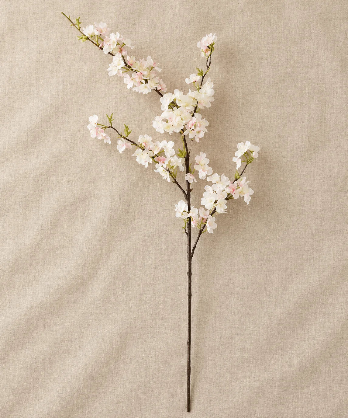 CHERRY BLOSSOM CREME WHITE