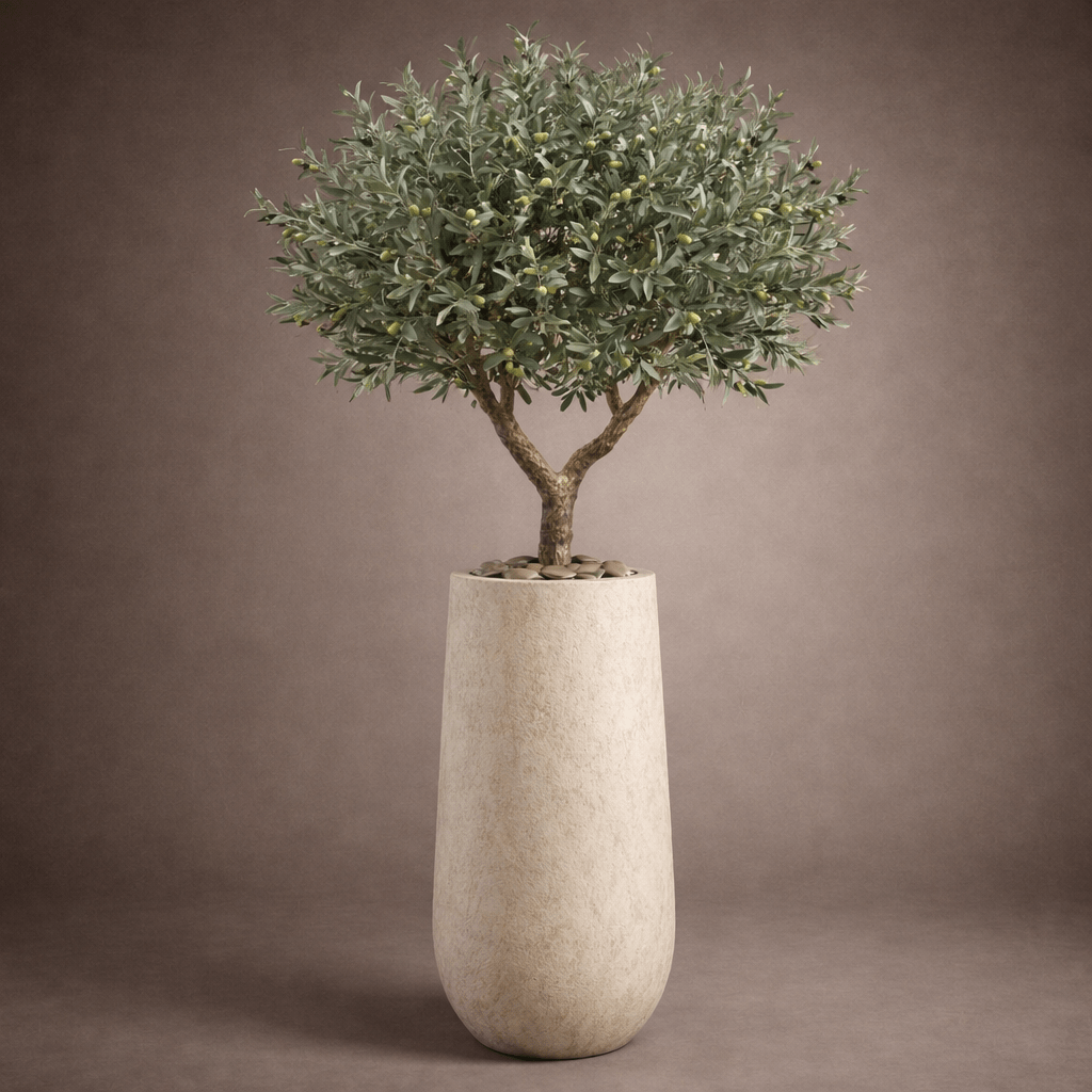 CUSTOM PK - OLIVE - PAMPASKONING