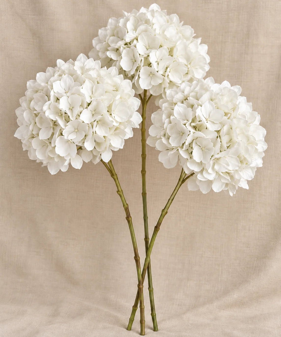 FLUFFY HYDRANGEA WHITE