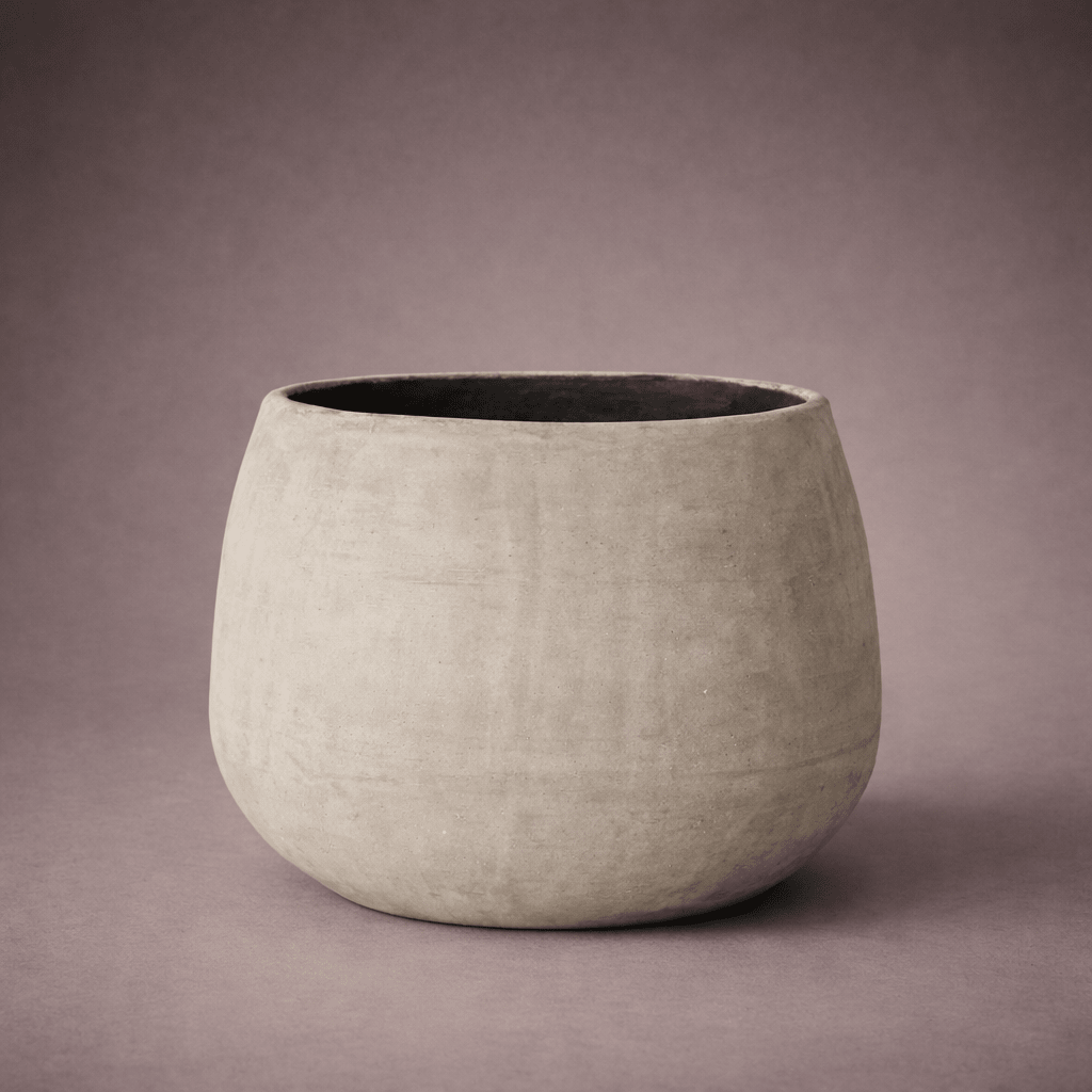 GIULIA - PAMPASKONING