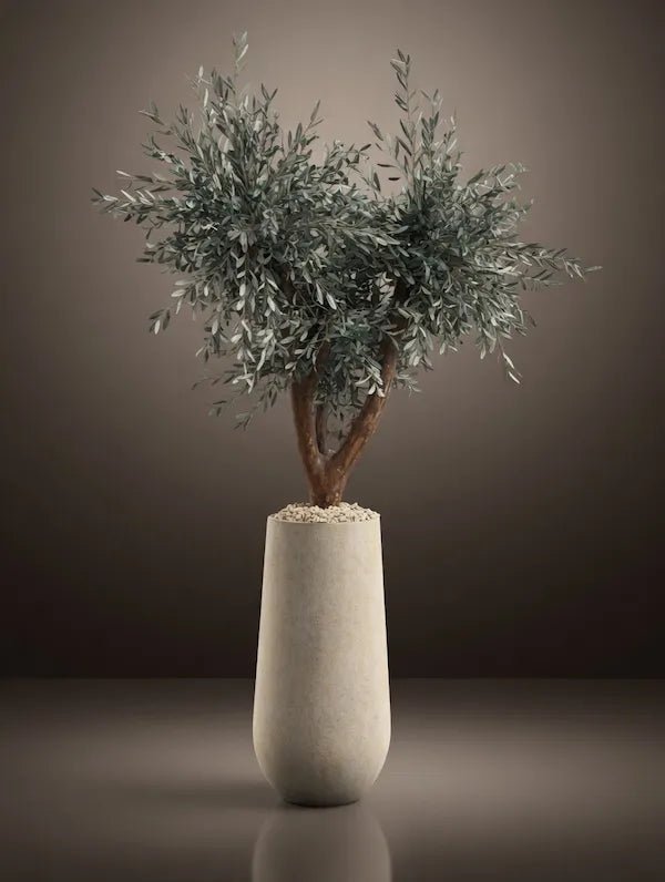 HANDCRAFTED PK - OLIVE TREE - PAMPASKONING