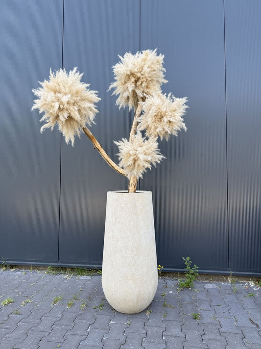LARGE BLOSSOM TM2 - PAMPASKONING