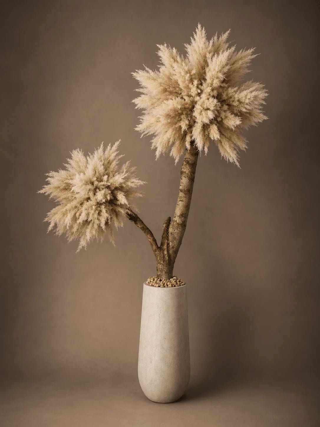 MEDIUM PK - BLOSSOM - PAMPASKONING