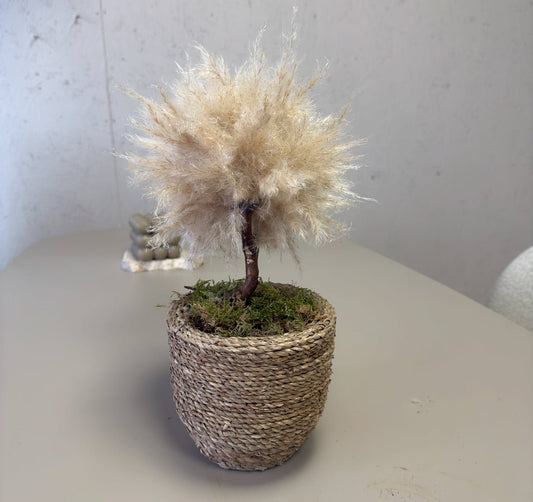 MINI IBIZA PALM TREE TM12 - PAMPASKONING