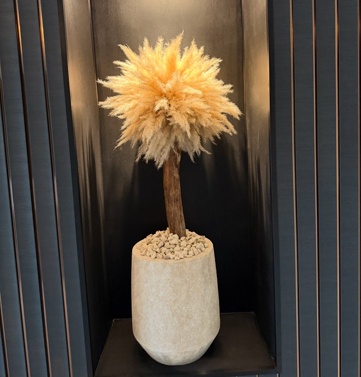 MINI PALM TREE TM6 - PAMPASKONING