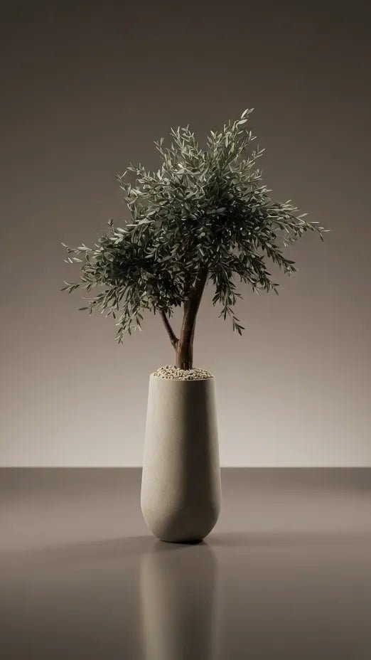 OLIVE TREE PK4 - PAMPASKONING