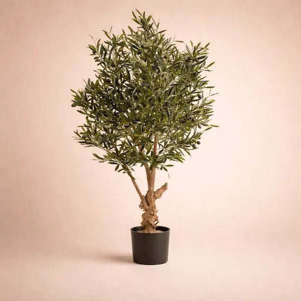OLIVIA M - ARTIFICIAL OLIVE TREE - PAMPASKONING