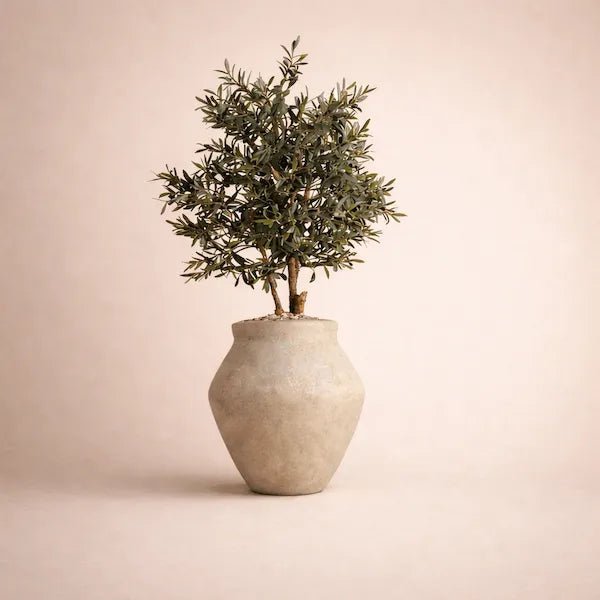 OLIVIA M - ARTIFICIAL OLIVE TREE - PAMPASKONING
