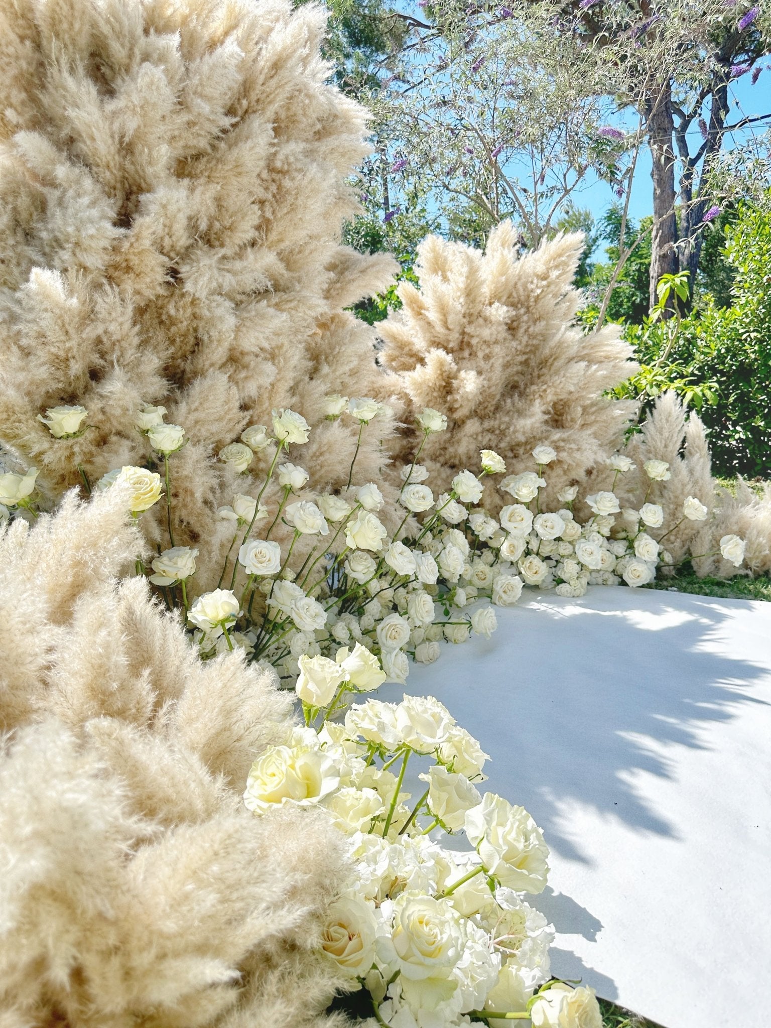 PAMPAS HEAVEN - PAMPASKONING