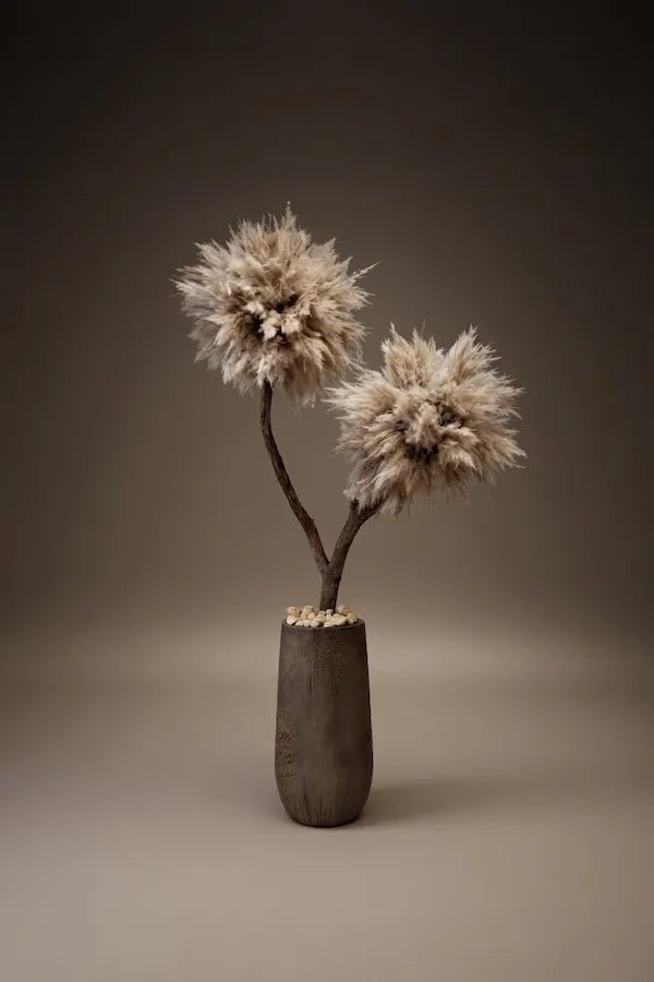 PAMPASTREE - OYSTER BROWN - PAMPASKONING