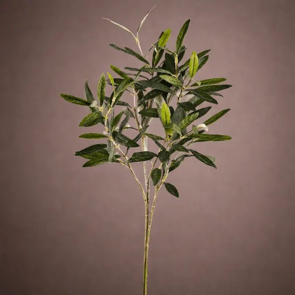 Premium Artificial Olive Branch - PAMPASKONING