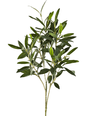 Premium Artificial Olive Branch - PAMPASKONING