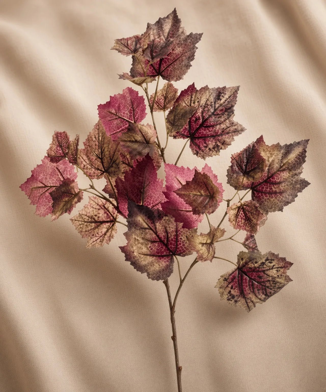 PREMIUM GRAPE LEAF - PAMPASKONING