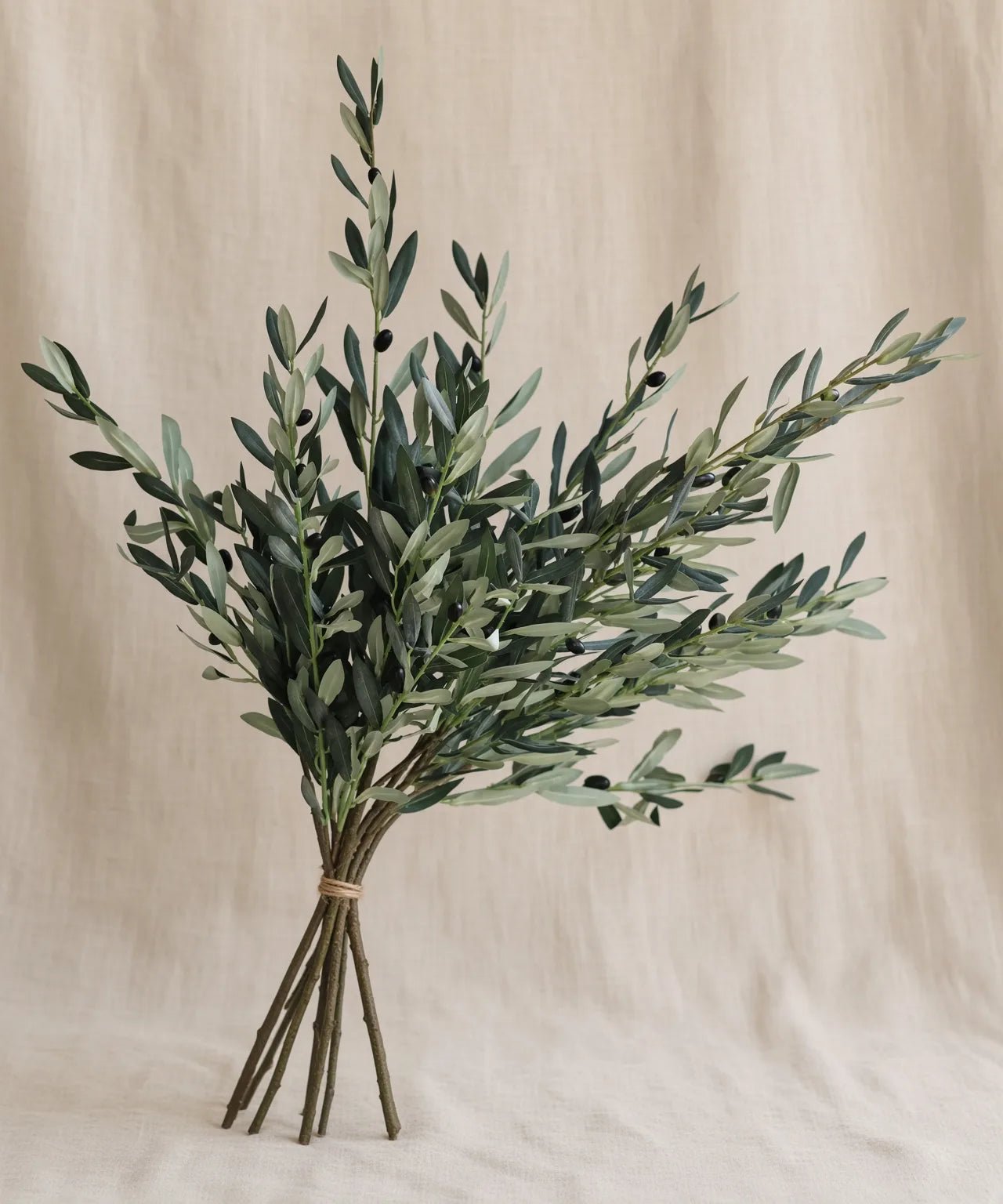 Premium Olive - PAMPASKONING