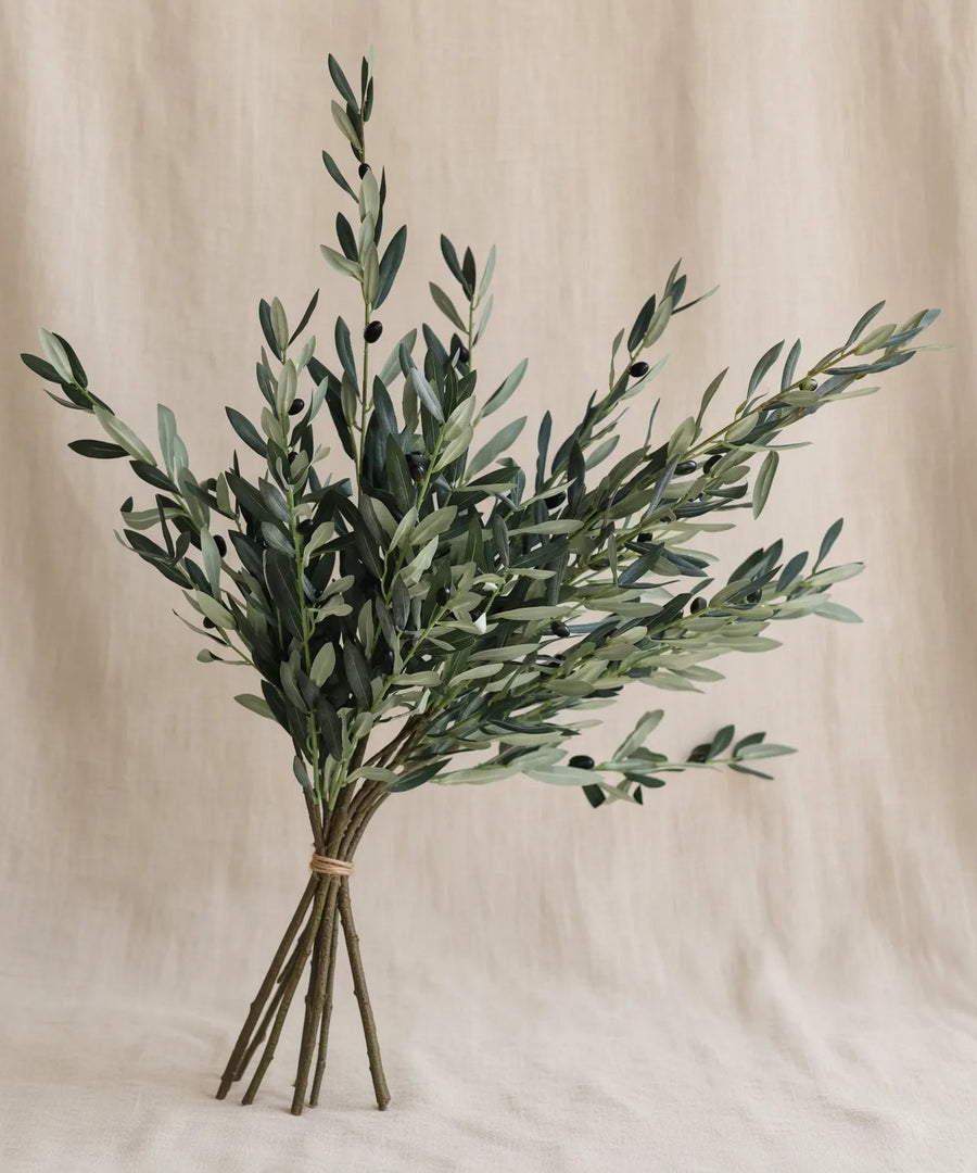 Premium Olive