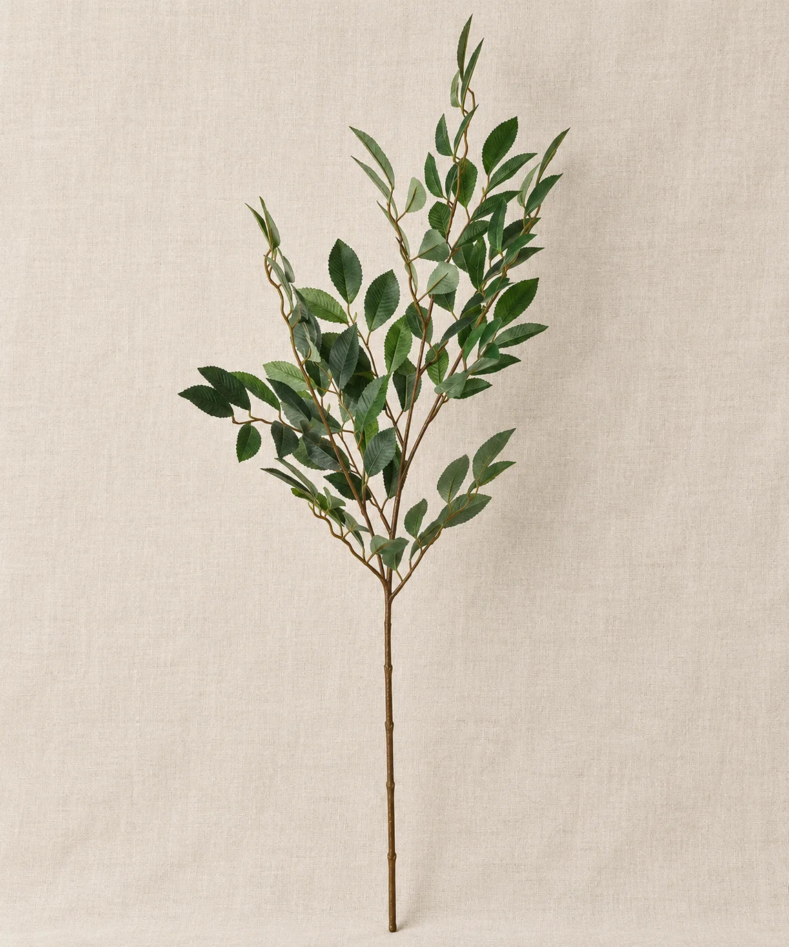 PREMIUM ROSE LEAFS GREEN - PAMPASKONING
