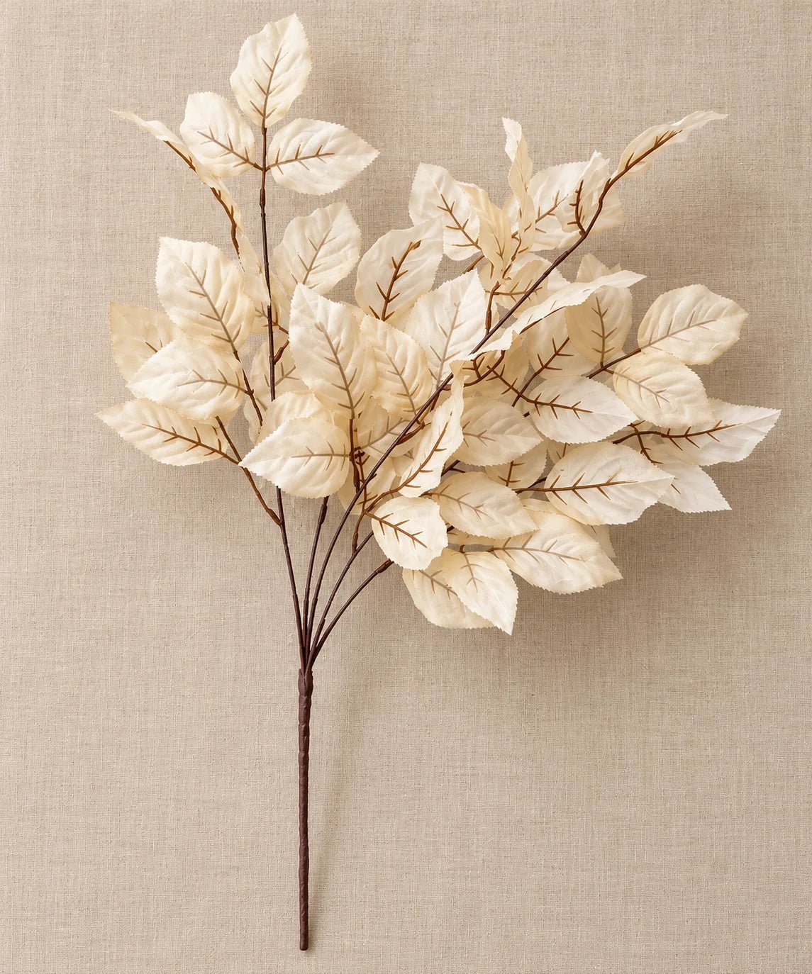 ROSE LEAFS BEIGE - PAMPASKONING