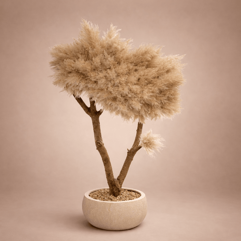 SEREGATI PAMPAS TREE - PAMPASKONING