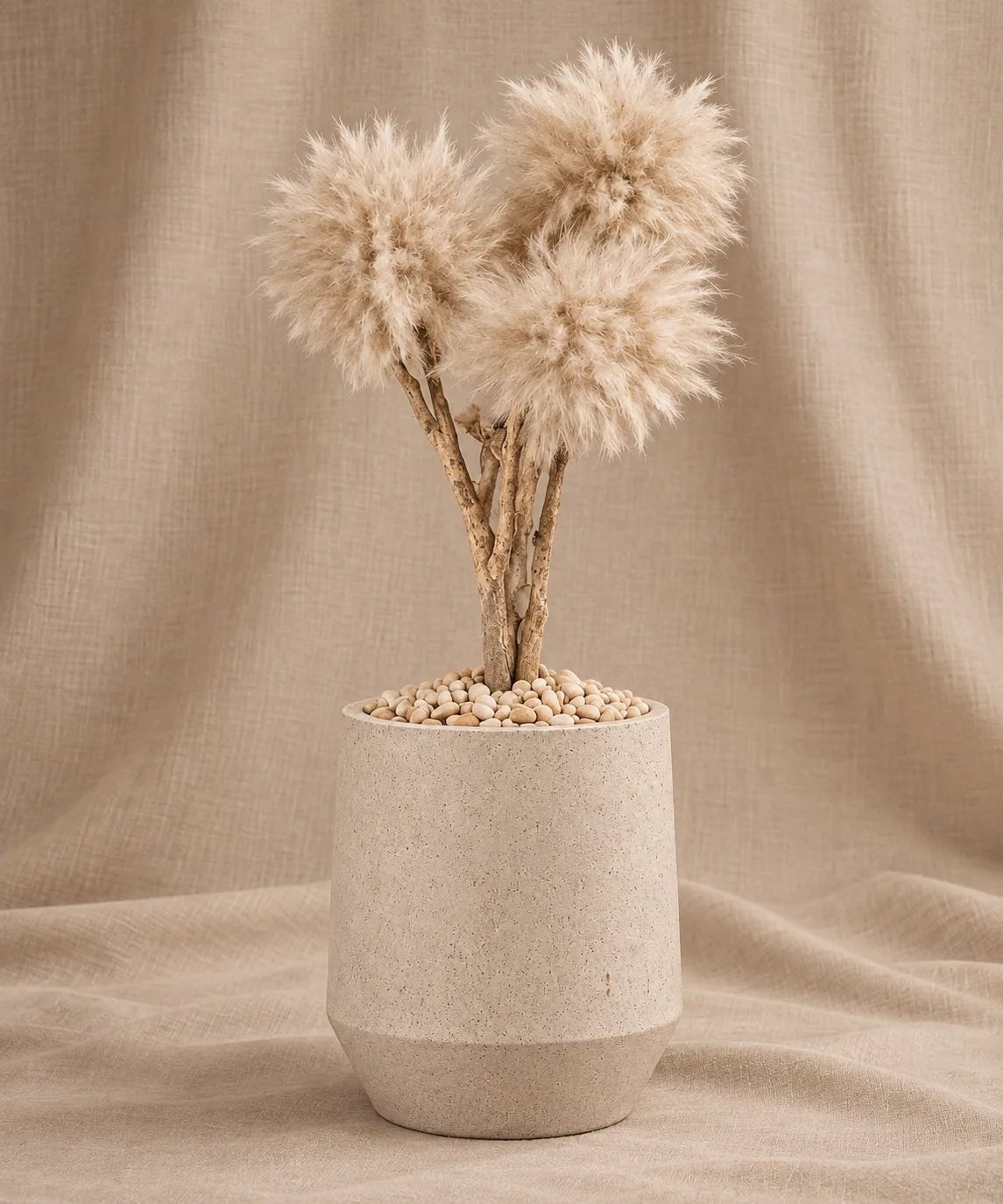 TRAVERTINE BONSAI - PAMPASKONING