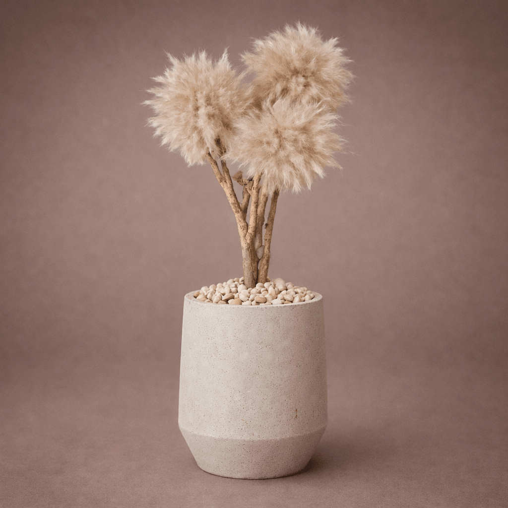 TRAVERTINE BONSAI - PAMPASKONING
