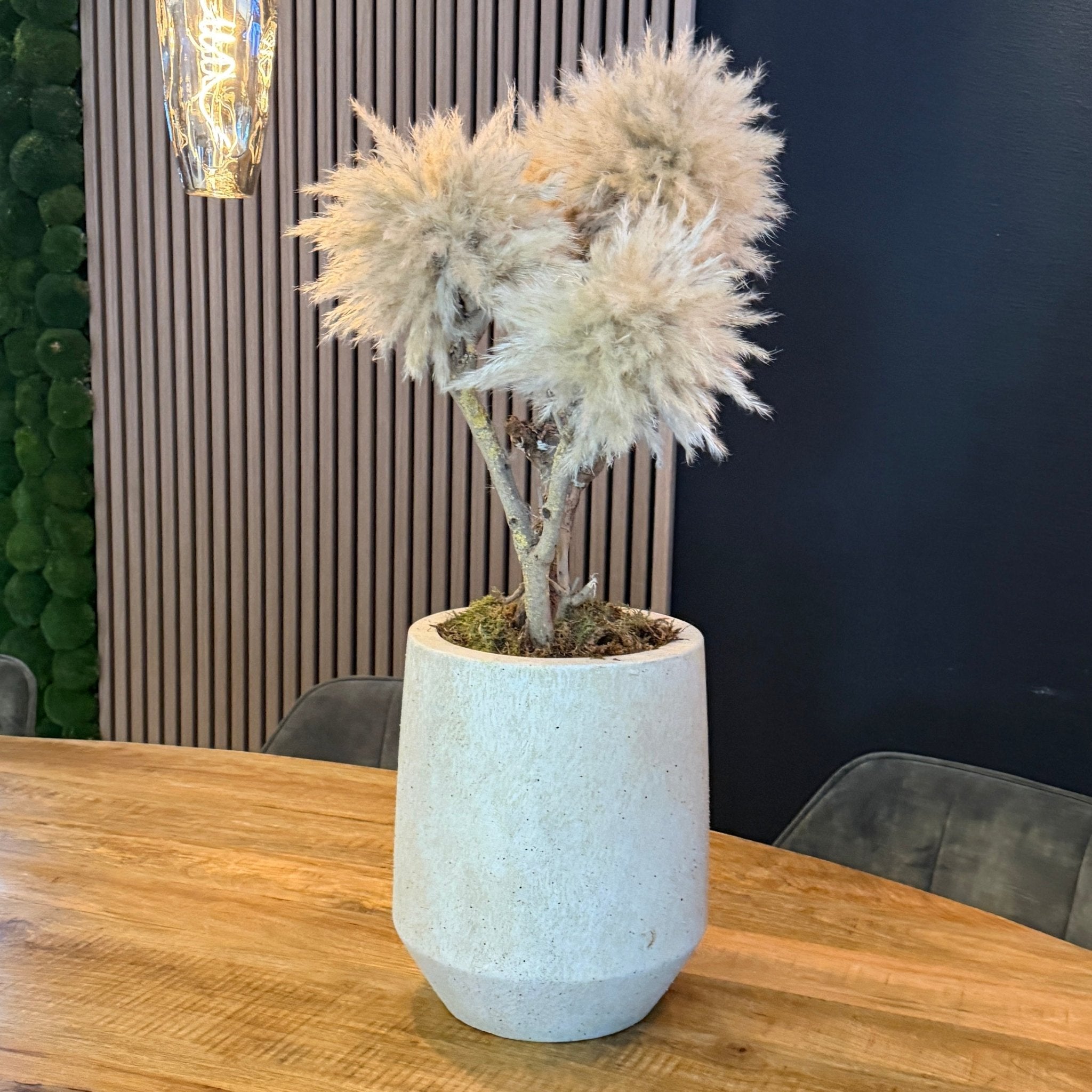 TRAVERTINE BONSAI - HOME DECOR - PAMPASKONING