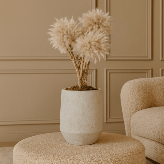 TRAVERTINE BONSAI - HOME DECOR - PAMPASKONING