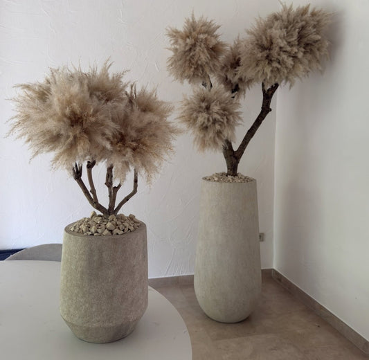 TRAVERTINE BONSAI - PAMPAS GRASS TREE - HOME DECOR - PAMPASKONING