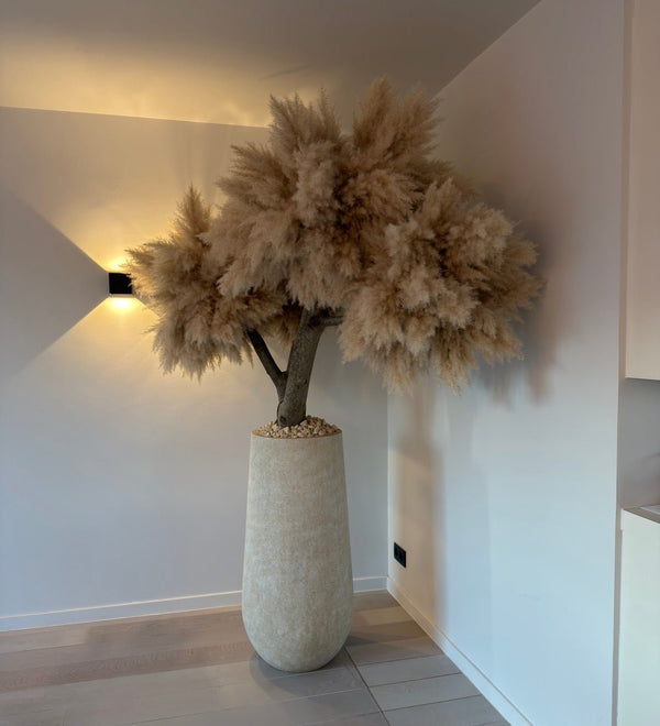XL PAMPAS TREE - PAMPASKONING